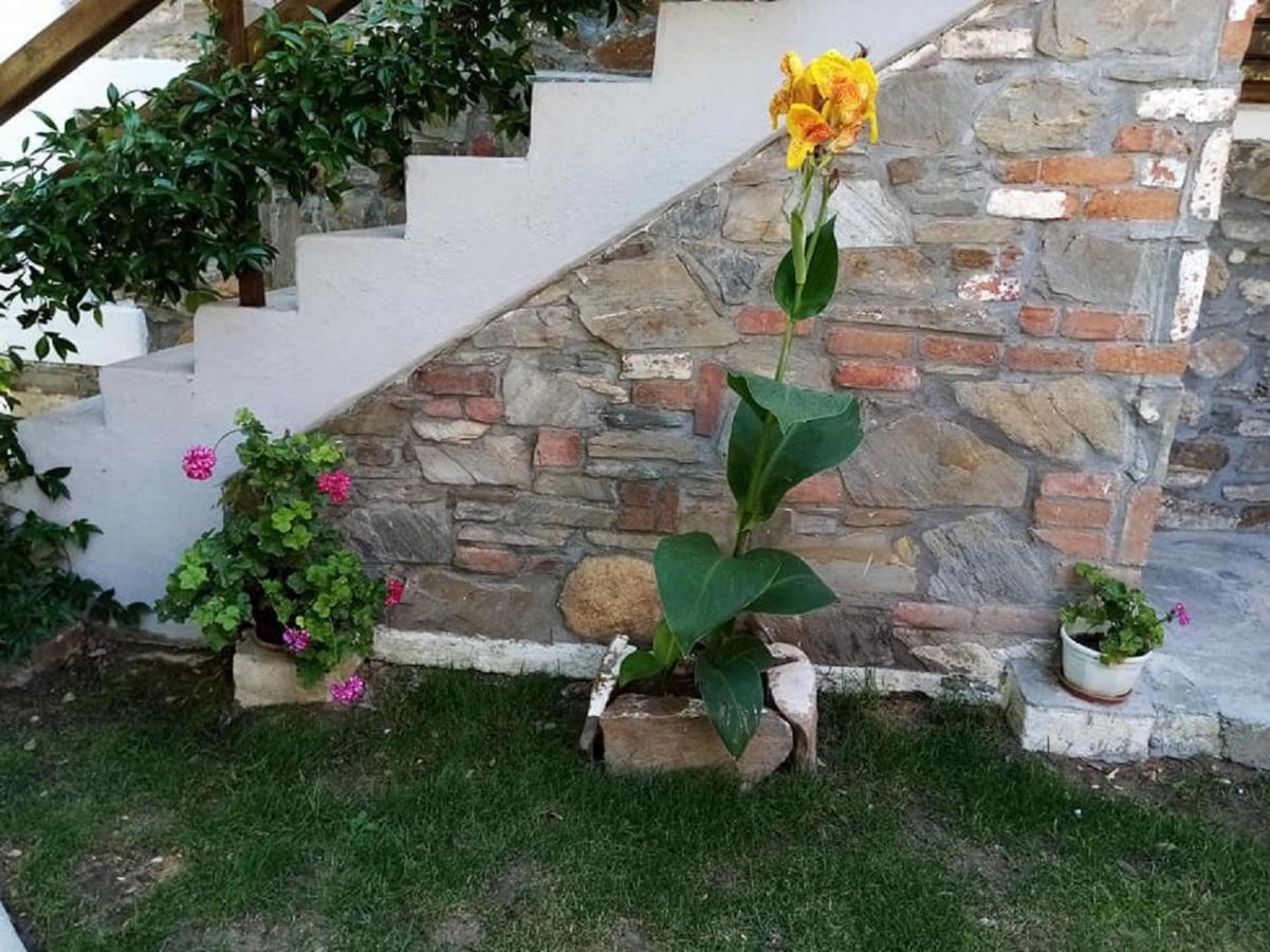 Petrino1880 Sea-Vacation Apartment In Chalkidiki 아이오스 니콜라오스 외부 사진