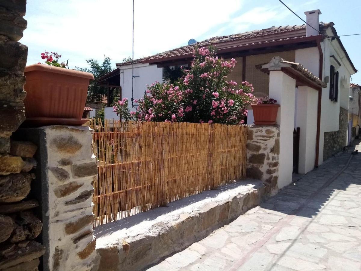 Petrino1880 Sea-Vacation Apartment In Chalkidiki 아이오스 니콜라오스 외부 사진