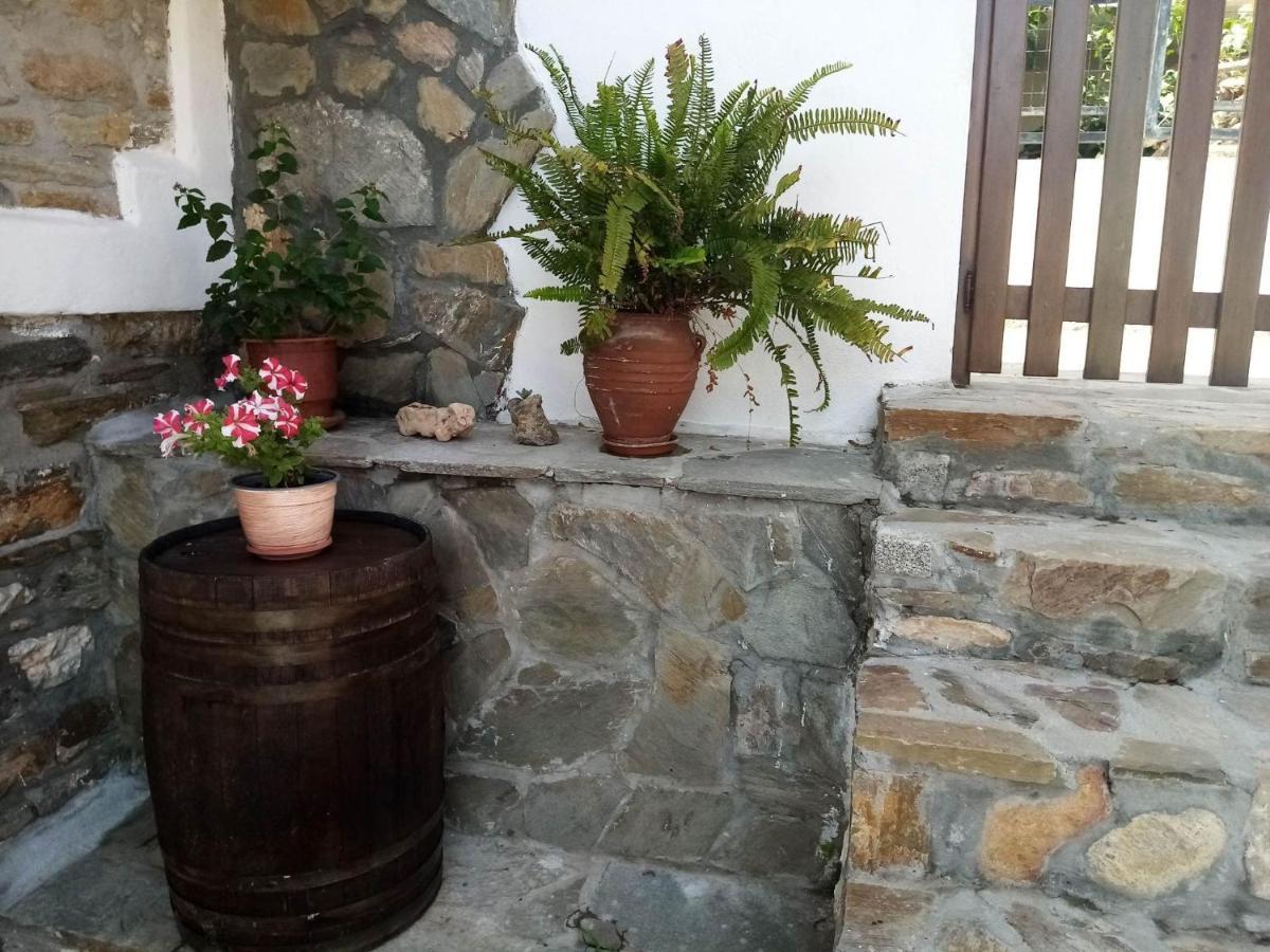 Petrino1880 Sea-Vacation Apartment In Chalkidiki 아이오스 니콜라오스 외부 사진