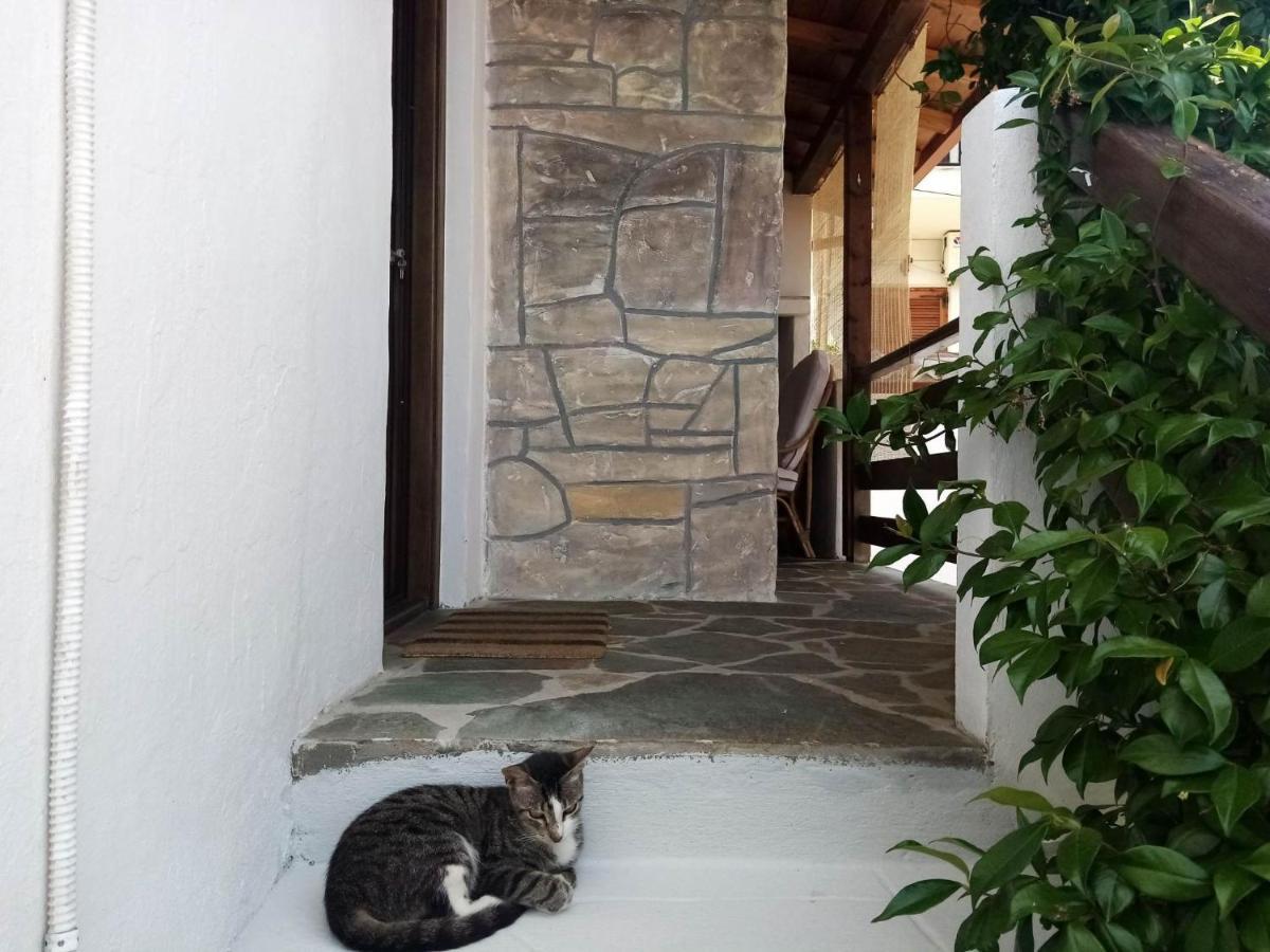 Petrino1880 Sea-Vacation Apartment In Chalkidiki 아이오스 니콜라오스 외부 사진