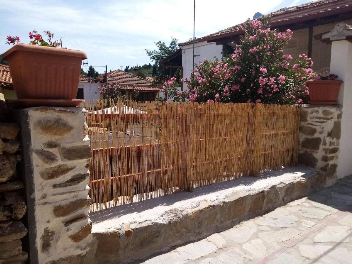 Petrino1880 Sea-Vacation Apartment In Chalkidiki 아이오스 니콜라오스 외부 사진
