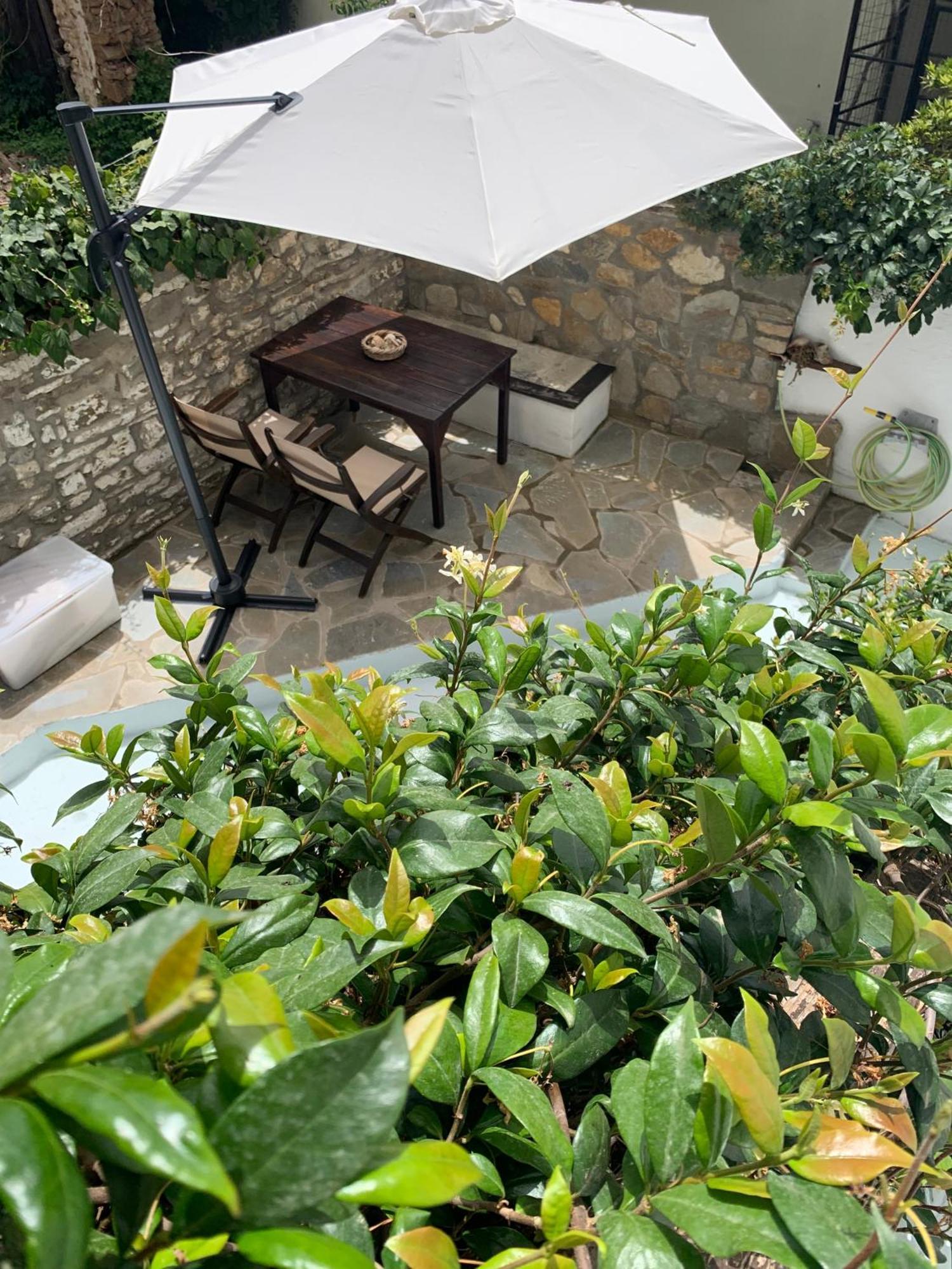 Petrino1880 Sea-Vacation Apartment In Chalkidiki 아이오스 니콜라오스 외부 사진